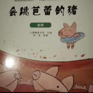 李老师——《会跳芭蕾的猪》
