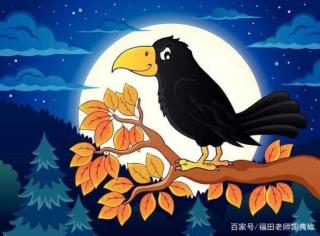晚安故事《树上的乌鸦》