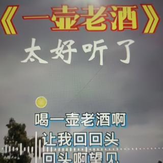 歌曲欣赏《一壶老酒》