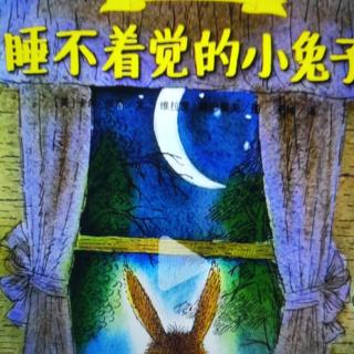 “晚安电台”第322期《睡不着觉的兔子》