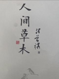 《人间草木》第76～80页