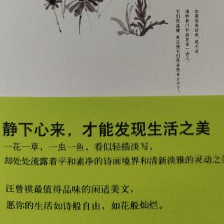 《人间草木汪曾祺～泰山片石