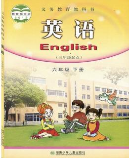 湘少版六年级下册英语 Assessment II