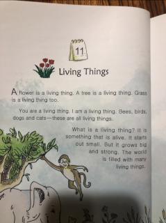 Living Things-22.6.13添