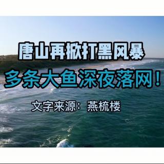 唐山多条大鱼深夜落网，背后透露什么信号？