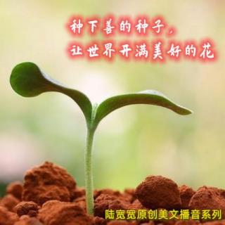 种下善的种子，让世界开满美好的花 【陆宽宽原创美文播音系列15】