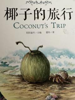 椰子的旅行