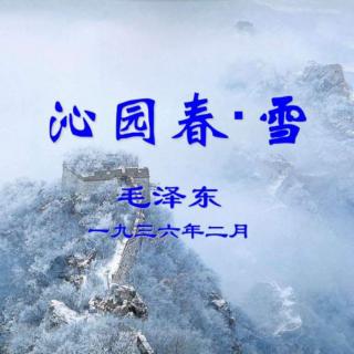 慕真朗诵：沁园春.雪