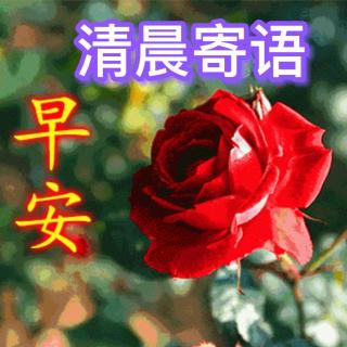 清晨寄语续203