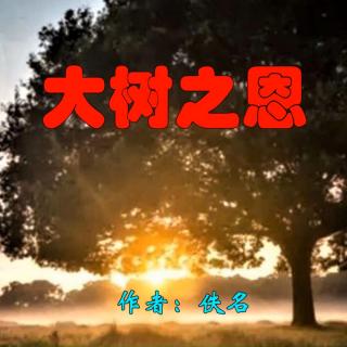 《大树之恩》作者：佚名 诵读：大连伙计