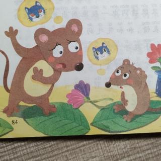 《小耗子🐭没听懂》