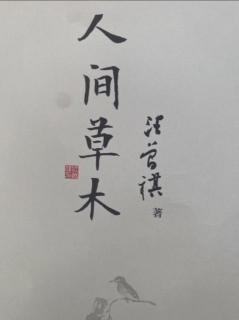 《人间草木》第98～109页