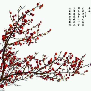 著名诗人余玮创作《一棵树——写在父亲节》（朗诵：余武隆）