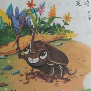 《甲虫 🐜🦗🐞的下场》