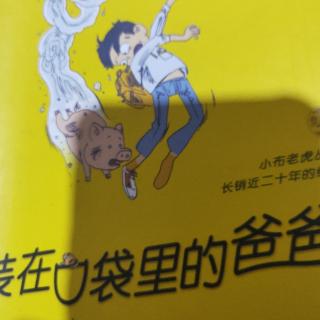 《装在口袋里的爸爸》