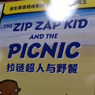 Thezipzapkidandthepicnic