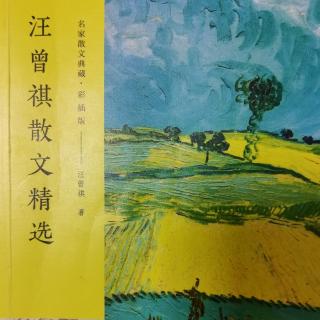 《汪曾祺散文精选》——天山行色