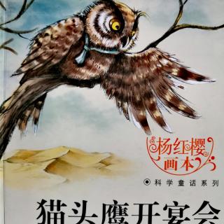 《鸣沙之谜》———主播焦馆长