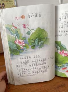 《荷叶圆圆》