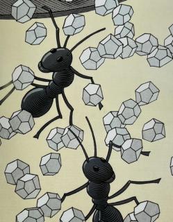 《贪吃的小蚂蚁》