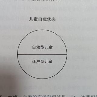 蛤蟆先生 第五章 成长的寓言