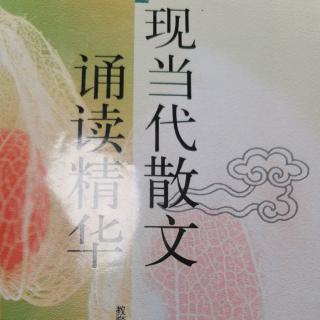 小雨点——杲向真