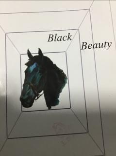 Black Beauty Chapter4