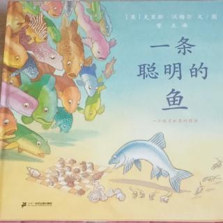 《一条聪明的鱼》