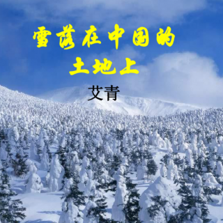 《雪落在中国的土地上》作者艾青，朗诵吟龙