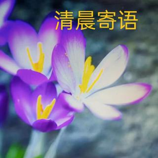 清晨寄语续207