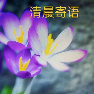 清晨寄语续211