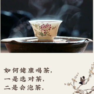 《茶艺师》基础知识（绿白黄红茶的加工）