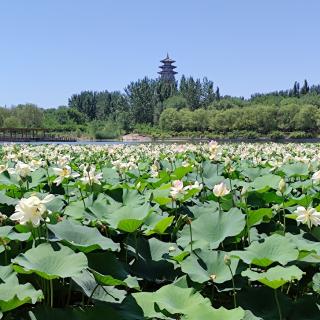 静养情绪
朗读：懿靖