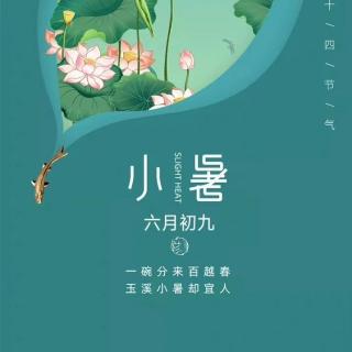 廿四节气——有声 小暑