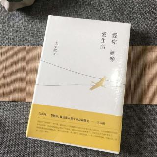 《爱你就像爱生命》他们的教条比斑马还多