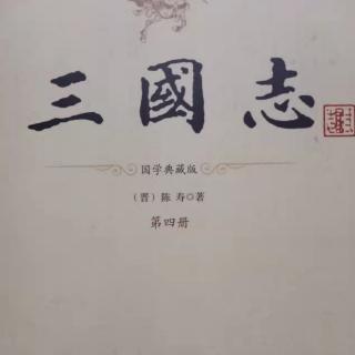 《三国志》邓张宗杨传3（第三卷终结）