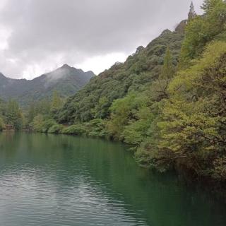 冥想引导仲夏夜的梦，赶海，竹林漫步，听海浪