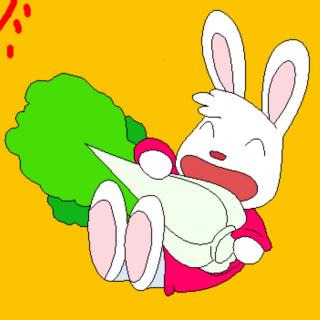 小兔子的白菜花