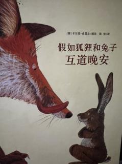 假如狐狸🦊和兔子🐰互道晚安