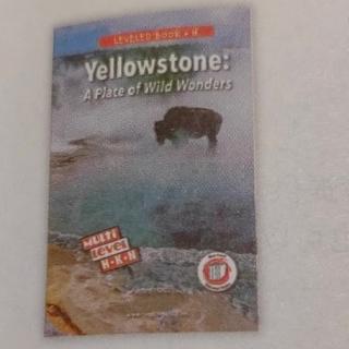 Yellowstone: A Place of Wild Wonders黄石公园