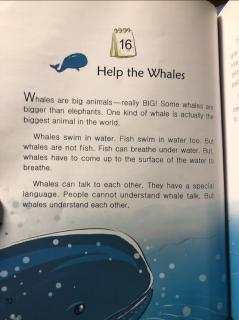 Help the Whales-22.6.27添