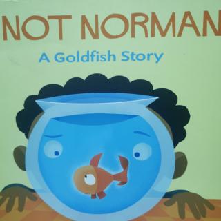 NOT NORMAN AGoldfish Story不要小金鱼的故事