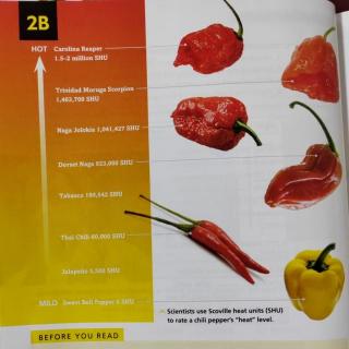 RE F2B - The Hottest Chillies 6.27