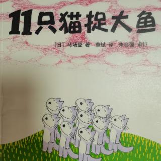 11只猫捉大鱼～杨淏宇