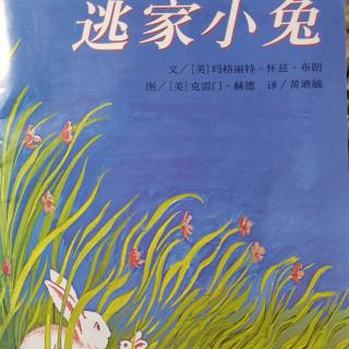 《逃家小兔》