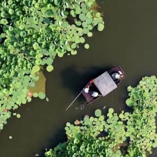 翟永明｜人生流转：有人与你 在此点失散 有人还在