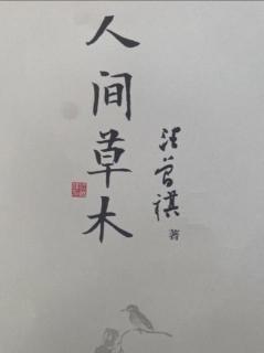 《人间草木》第178～184页