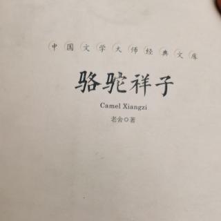 骆驼祥子，序言