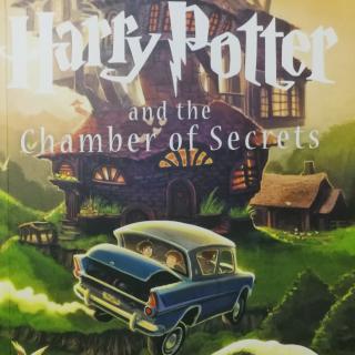 Harry Potter 2-4.At Flourish and Blotts①