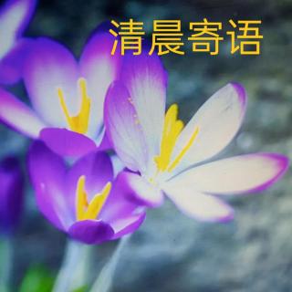 清晨寄语续214